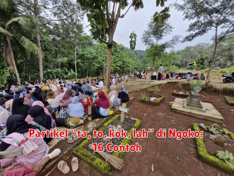 Partikel “ta, to, kok, lah” di Ngoko: 16 Contoh